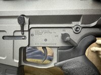 IMG_6937.jpeg