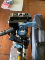 IMG_7051.jpeg