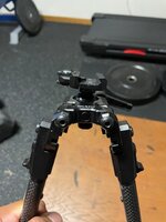 IMG_9556.jpeg