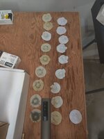 IMG_20250803_194823.jpg