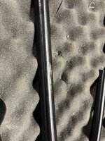 IMG_7311.jpeg