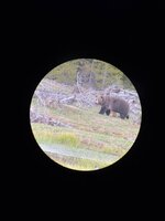 IMG_3877.jpeg