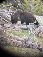 IMG_3880.jpeg