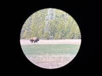 IMG_3781.jpeg
