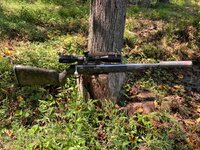 IMG_9150.jpeg