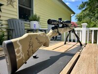 IMG_8380.jpeg