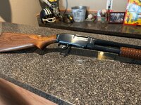 IMG_9189.jpeg
