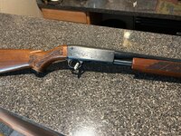 IMG_9190.jpeg