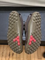 IMG_2830.jpeg