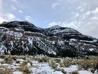C979003A-0ED4-4581-912B-8F231BBAE195.jpeg