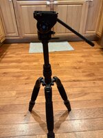 IMG_0151.jpeg