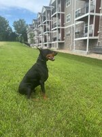 IMG_9870.jpeg