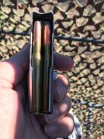 IMG_7569.jpeg