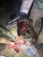IMG_0415.jpeg