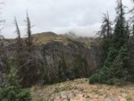IMG_1587.jpg
