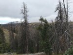 IMG_1588.jpg