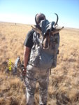 Antelope 2017 III.JPG