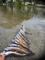 IMG_7957.jpeg