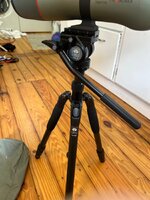 IMG_8244.jpeg