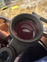 IMG_3326.jpeg
