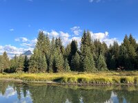 IMG_2475.jpeg