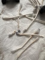 IMG_3331.jpeg