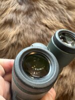 IMG_5911.jpeg