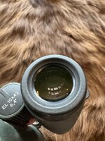 IMG_5912.jpeg
