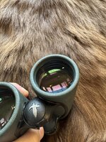 IMG_5921.jpeg