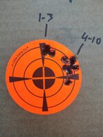 IMG_20250806_090926063.jpg