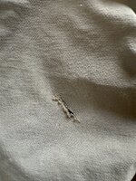 IMG_1291.jpeg