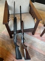 IMG_0937.jpeg