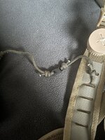 IMG_5134.jpeg