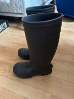 IMG_4363.jpeg