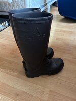 IMG_4364.jpeg