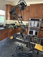 IMG_1503.jpeg
