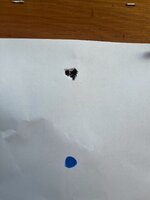 IMG_4419.jpeg
