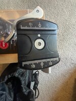 IMG_7878.jpeg