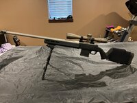 IMG_1321.jpeg