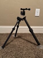 IMG_6123.jpeg