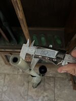 IMG_3983.jpeg