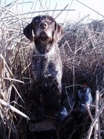 IMG_2160.jpeg