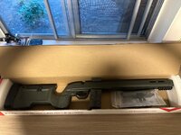 IMG_8674.jpeg