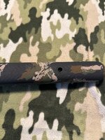 IMG_5392.jpeg