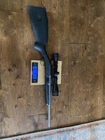 IMG_8353.jpeg