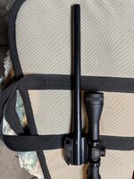 IMG_6908.jpeg