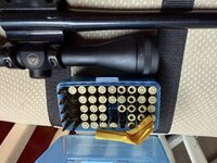 IMG_6910.jpeg