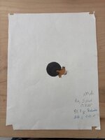 IMG_6791.jpeg