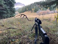 IMG_5037.jpeg