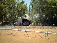 IMG_0699.jpeg